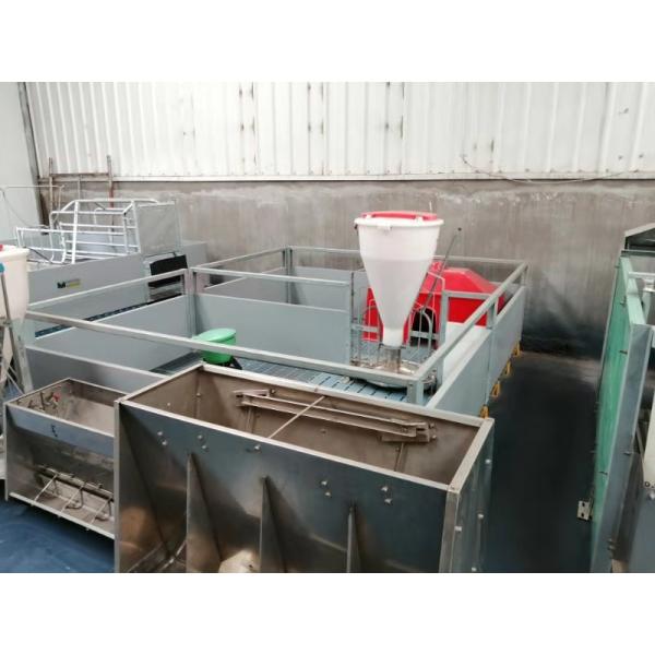 Buy Pvc Panel Pig Farrowing Crate at wholesale prices