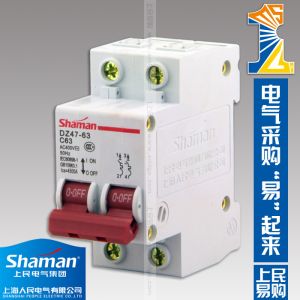 High quality good price DZ47-63-2P-63A Mini circuit breaker,murray circuit