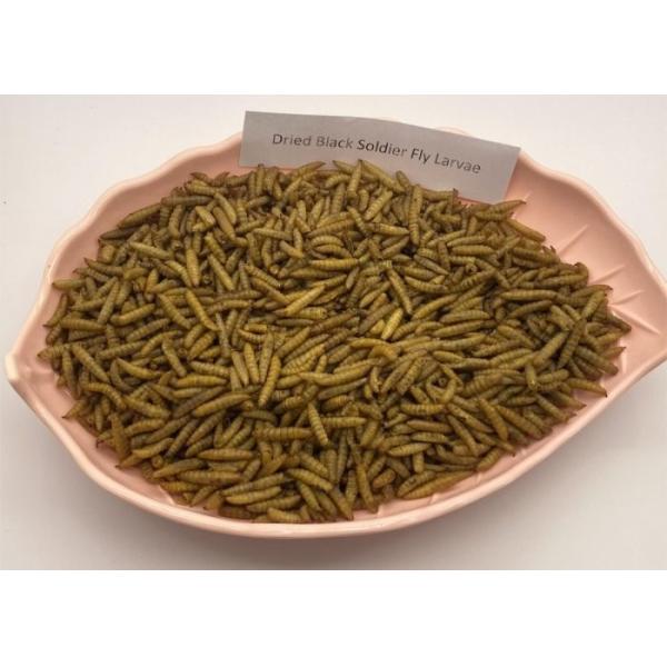 B2B Buyers Delight Nutritious Black Soldier Fly Meal from
