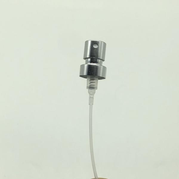 Luxury Perfume Pump for Premium Fragrance Bottles with Adjustable Fine Mist