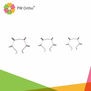 Axillary Arch Lower Medium Anterior Root Torque Spring