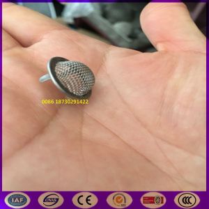 The Most Professional Stamping Screen / Oil Pump Strainer / Pump Strainer