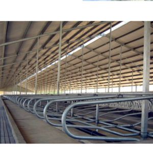 Customized Livestock Equipment for Dairy Cattle Sheep Horse Poultry and Fowl