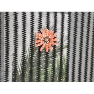 China Zipper Mesh Coat Black Polyester Pleated Lace Fabric on sale