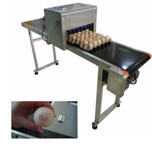 Quality Electronic Smart Eggs Edible Image Printer For Batch Number / Expiration Date for sale