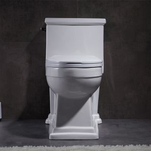 Compact One Piece Toilet With Side Flush Map 1000 American Standard 1pc Toilet