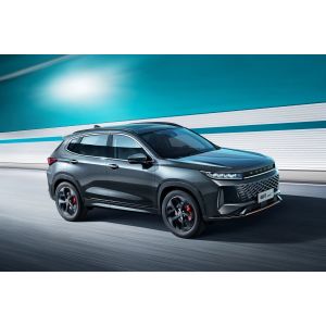Chery EXEED LX Mid Size Chery Petrol SUV 180km/h Maximum speed 110hp