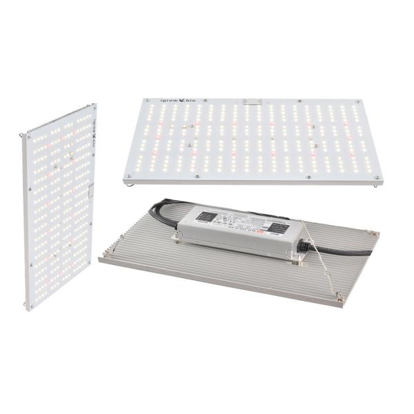 Buy UL 310nm Quantum Board Led Grow Lights For Mushroom at wholesale prices