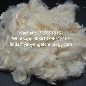 Premium Soybean Protein Fiber Low Fat Content Soy Fiber Textile