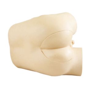 Quality Prostate , rectum palpation Clinical simulation / ture feeling Rectal Simulator for sale