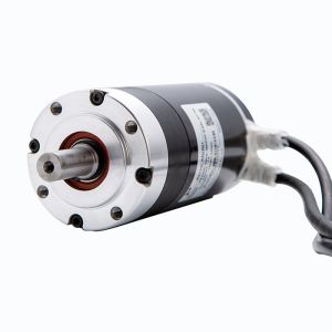 Faradyi Factory Direct Sales 4267 Low Speed High Torque 12V 24V Dc Planetary