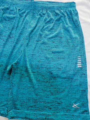 Elastic Waist Embroidery And Applique Exercise Shorts Men Fast Dry