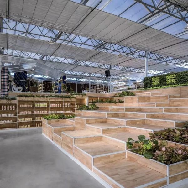 Single Layer Glass Greenhouse for Sustainable Growth