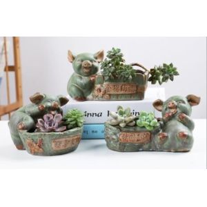 Quality Succulent Creative Animals Cute Pig Plant Flowerpots for sale