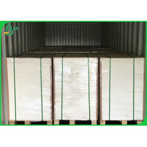 250gsm Printable PE Coated Food Grade Paper For Ice Cream Cups and Lids 