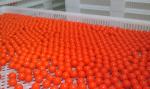 CS Paintball Automatic Encapsulation Machine / Precise Control System / 8000 -