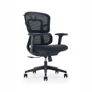 Adjustable Double Back Mid-Back Mesh Office Ergonomic Chair for Modern Office