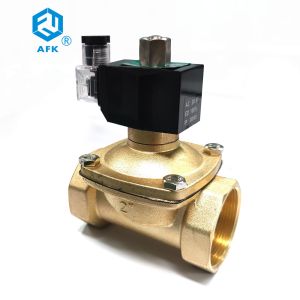 Pilot Diaphragm 24V 2in Brass Solenoid Valve NPT Thread