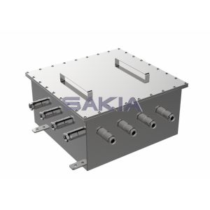 Corrosion Resistant Explosion Proof Junction Box Flameproof Enclosure SS304