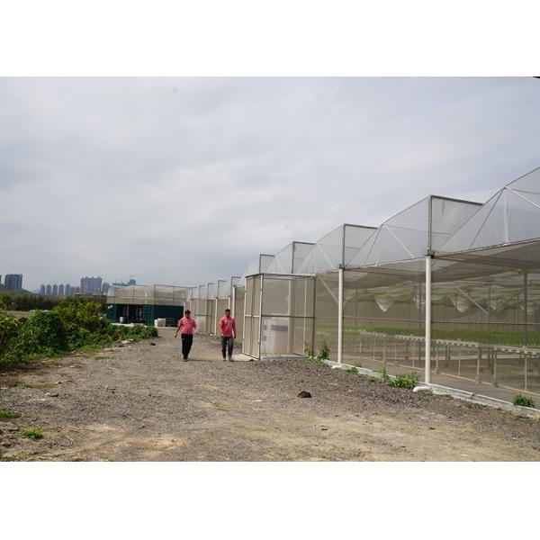 Buy Heavy Duty Windproof Commercial Hot Houses Reinforced Plastic Greenhouse at wholesale prices