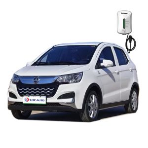s Top-Selling Four-Wheel Electric Vehicles Max Speed 60 Km/h 100% Electric Car