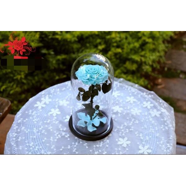 Beautiful Rose Flowers Everlasting Rose Preserved Flower Eternal Rose in Glass