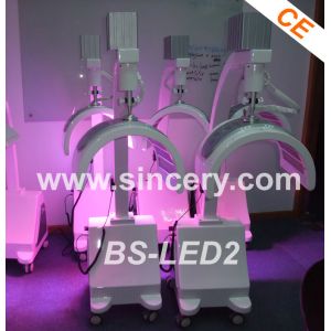 Professional Beauty Salon LED Phototherapy Machine 10 - 110HZ Frequency