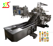 China Stainless Steel Food Grade Fruit Vegetable Processing Line With Customized Capacity on sale