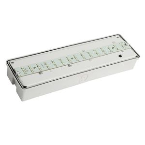 Professional Custom Surface Wall Mounted Waterproof Emergency Light