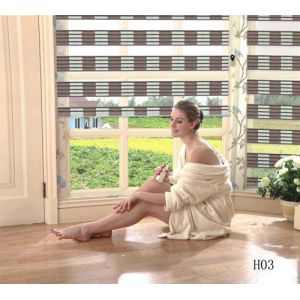 100% Polyester Zebra Roller Shade with 250cm width