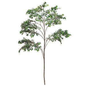 Custom Corner Artificial Ficus Tree Space Decoration Minimalist Style
