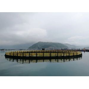 Black and Yellow Round Fish Cage for Tilapia Farming in Deepsea Diameter 10m 60m