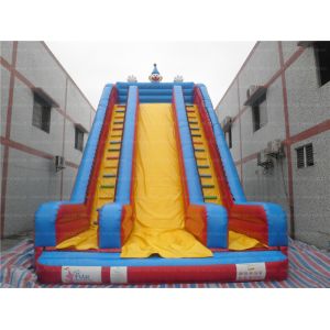 Giant Inflatable Clown Slide (CYSL-14)