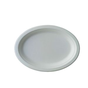 10 Inch 17g Eco Friendly Sugarcane Paper Plates