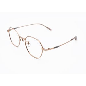 Elegant Intellectual Style Pure Titanium Eyewear Glasses ZTO 3030