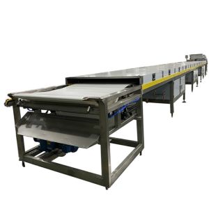 200kg/H Copeland Chocolate Chip Making Machine