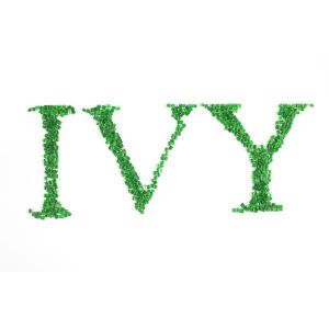 IV0.75-1.1 Recycled PET Resin GRS Certified Customizable