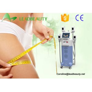 Quality Professional Four Hanpieces Cryolipolysis Machine Cryogenic Fat Removal Cryolipolysis Equipment for sale