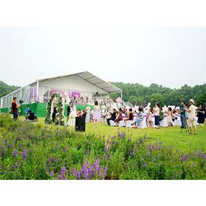 Aluminum Luxury FireProof PVC Roof Wedding Marquee Tent