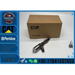 Cat 320d Diesel Inyector Common Rail Fuel Injector 3172300 317-2300 2645A717 for