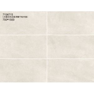 Cement Surface Effect Concrete Wall And Floor Tiles Porcelain Matte Big Size