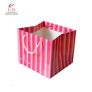 Recyclable Luxury Printed Paper Gift Bags Matt Lamination Aqueous Coating