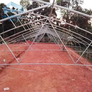 Plastic Tunnel Strawberries Agricultural Farm Tunnel Plastic Greenhouse With