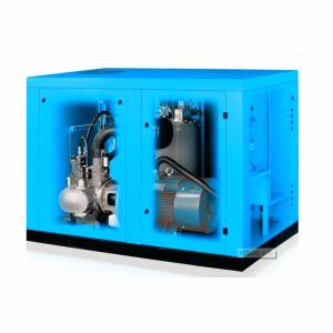 Quality Energy Saving Water Lubricated Oil Free Screw Compressor for sale