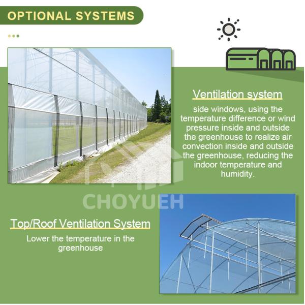 Wind Resistance Multi Span Plastic Film Tunnel Greenhouse With Ventilation System