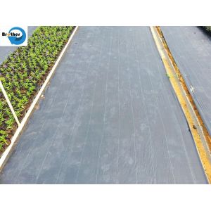 UV Treated Agriculture Weed Control Mat Black Plastic Mulch Ground Cover Weed