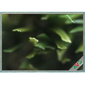 Environment Friendly Outdoor Artificial Grass Keeping Evergreen SGS Approval