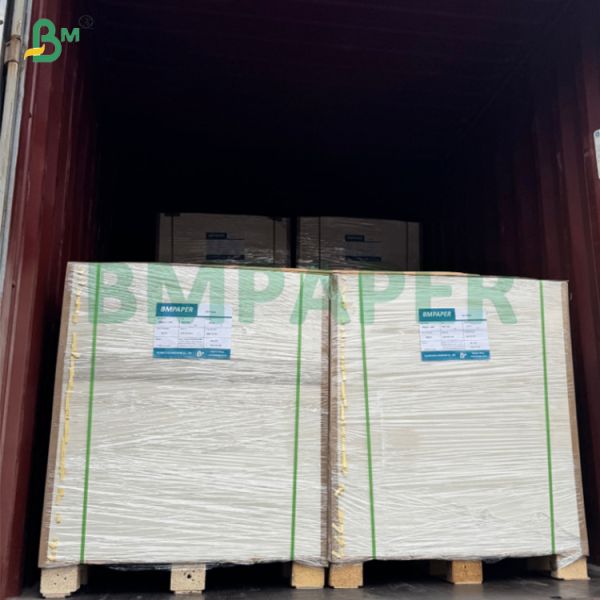 220gsm C1S Coated High Strength Food Board For Food Packing