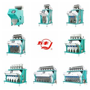 Soybean Peanut Rice Color Sorter Machine With Six Color Selection Models
