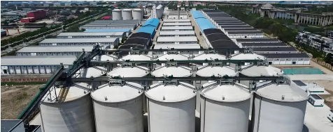 Galvanized Steel Coil/Sheet/Pipe/Strip for Construction